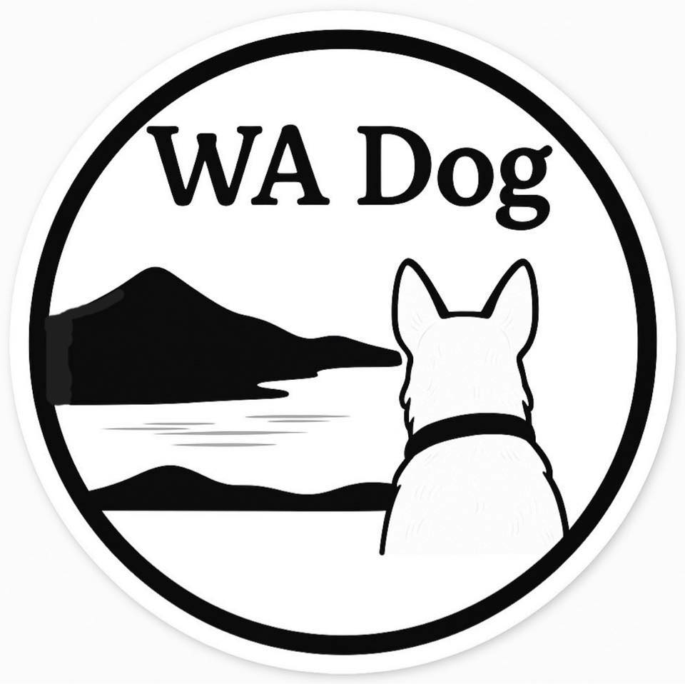 626435187_122172105572874437_1999855788018826432_n (1)